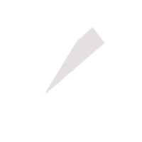 沧州临时保镖服务